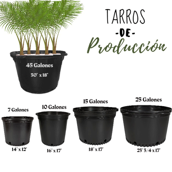 tarros-de-proteccion.png