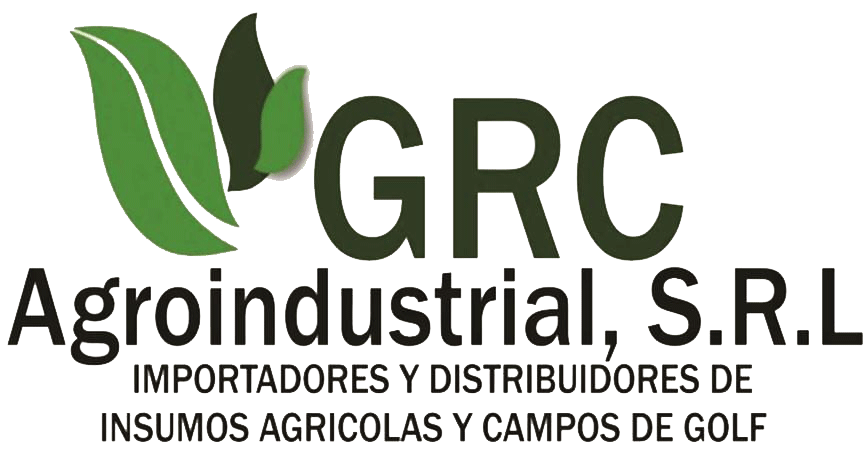 logo-sin-fondo.png