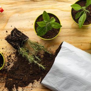 fertilizantes
